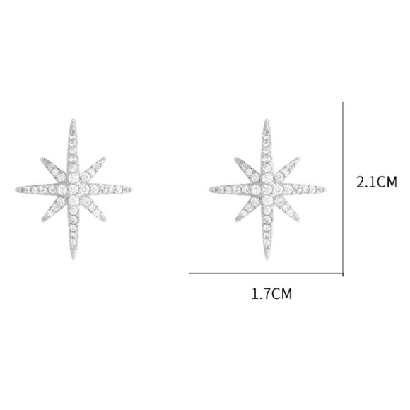 North Star ⭐️ earrings - Picture 6 of 6